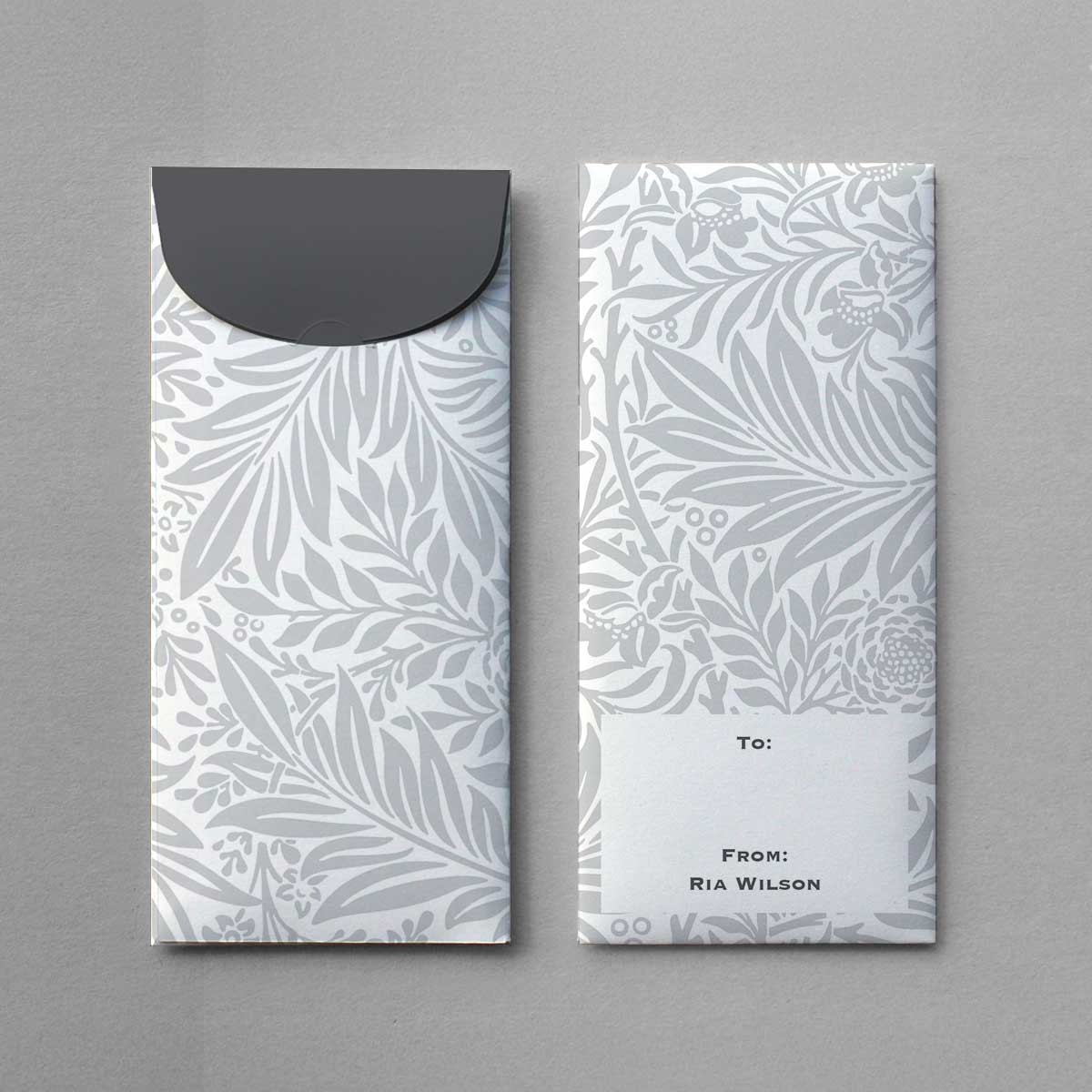 Vector Leaves Money Envelope