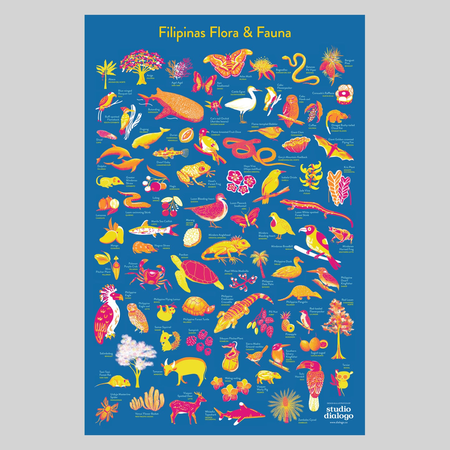 Filipinas Flora and Fauna Map