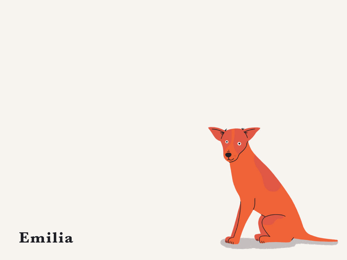 Dog Series Flat Notecard