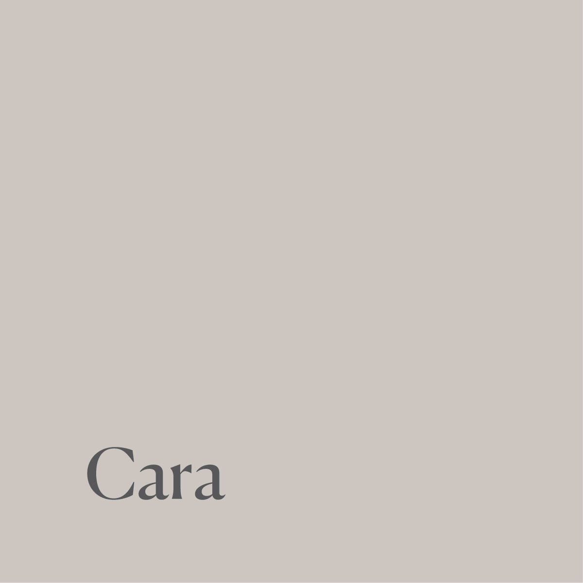 Neutral Shades Folded Notecard